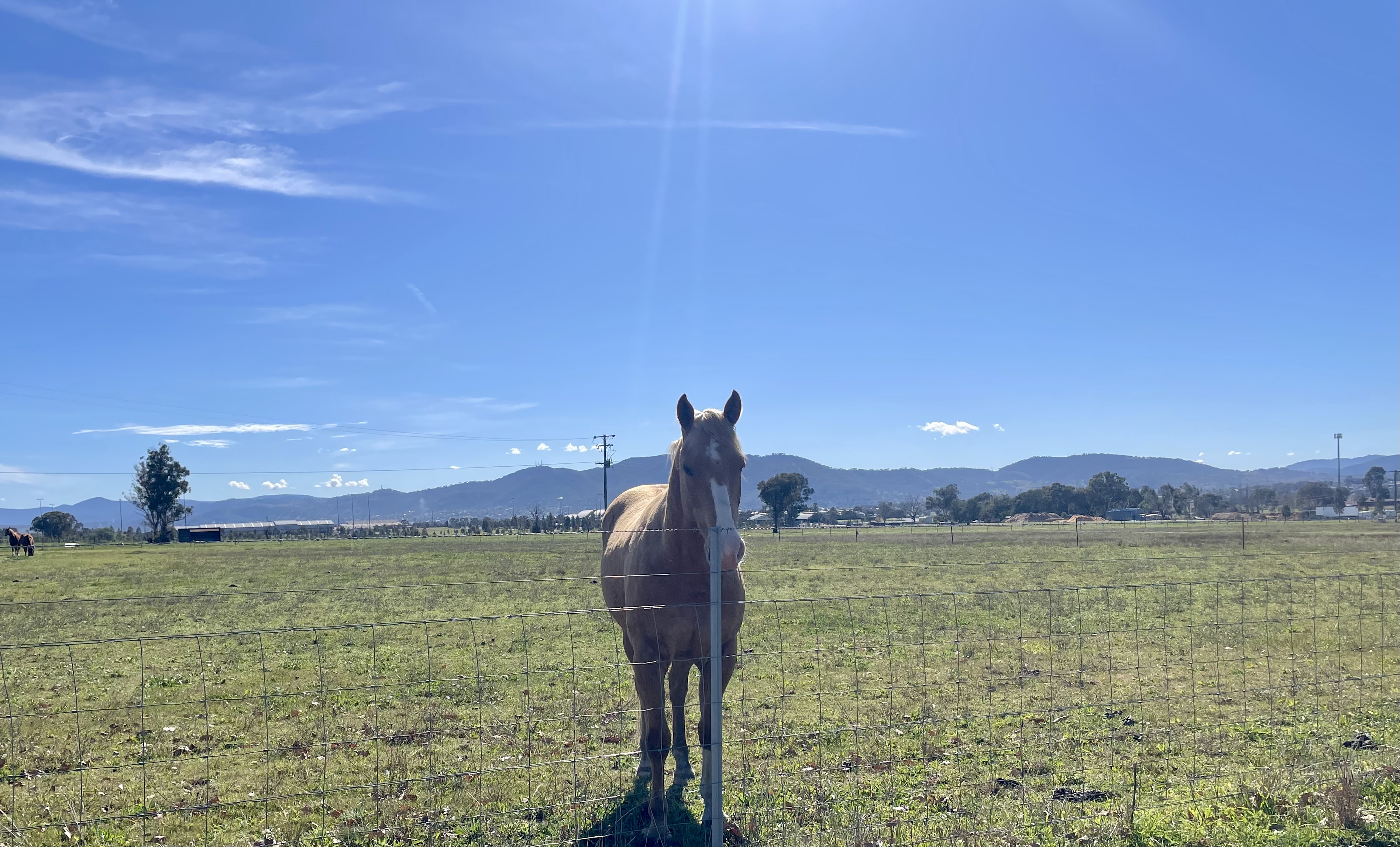 Regional New South Wales touring